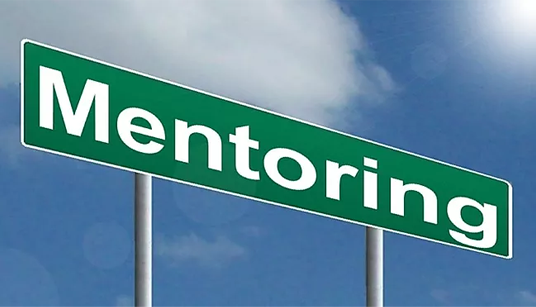 E-mentoring scheme ends on a high
